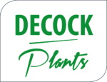 decock-logo-1