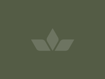 Princettia | logo | variation 1